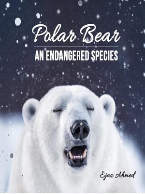 cover image of Polar Bear
